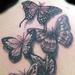 Tattoos - buterflys - 60035